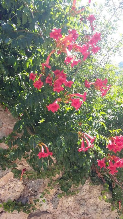 La Hermossa Valldemossa (Mallorca) Exterior photo